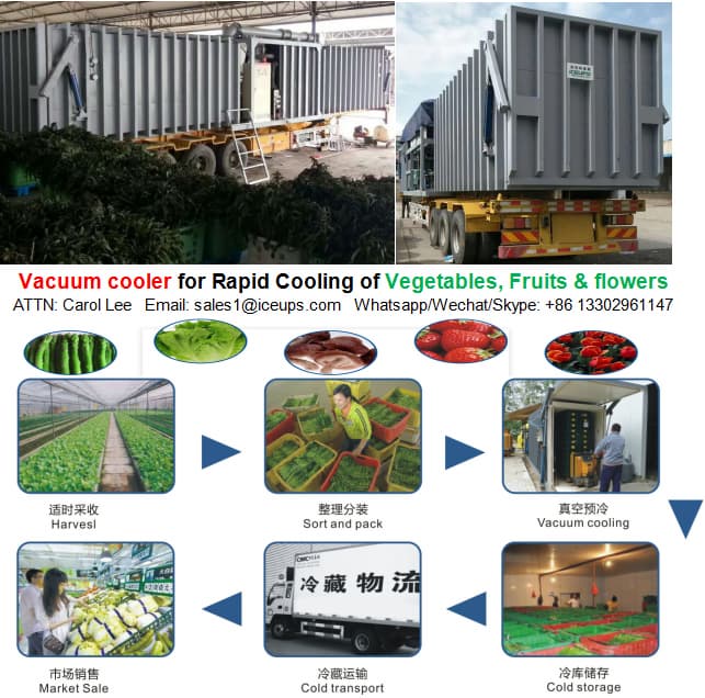 Vacuum Precooling Machine for Vegetable preservation 2000KG